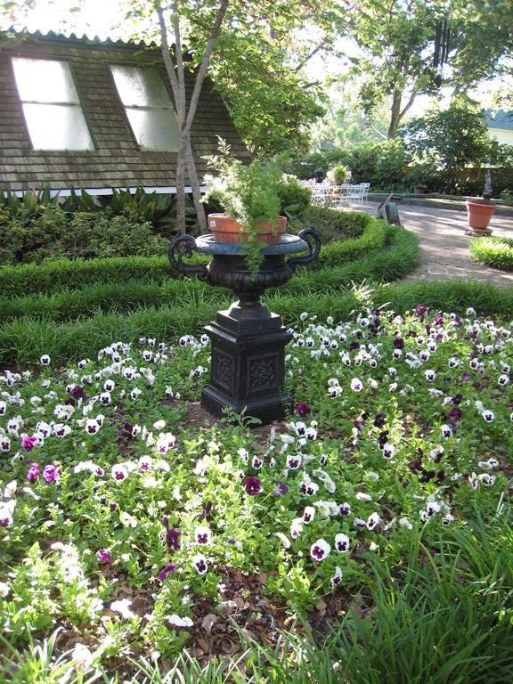Belle Oaks Inn Gonzales Экстерьер фото